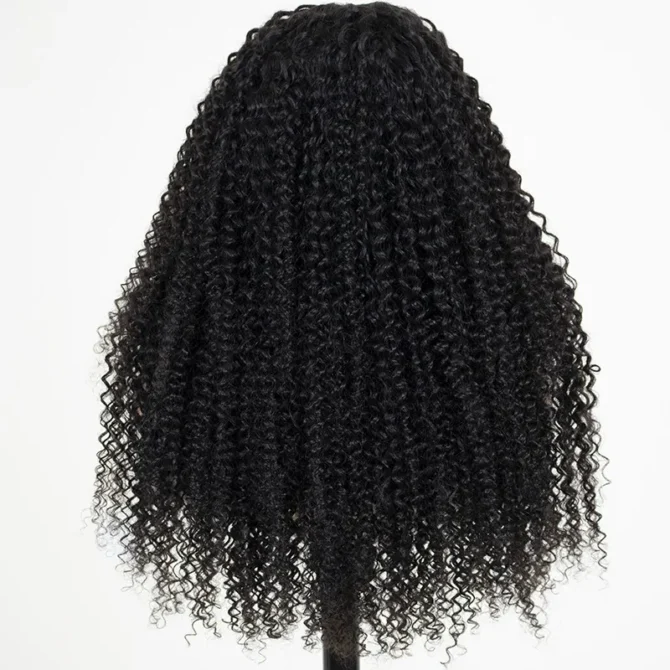 Curly 13x6 Glueless HD Lace Frontal Wig Bleached Knots Plucked Hairline 100% Human Hair For Women